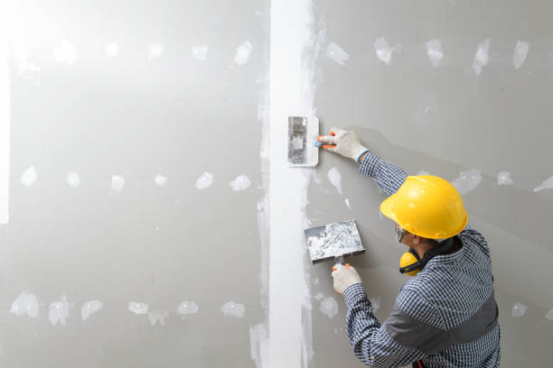 Best Emergency Mold Remediation  in Carlstadt, NJ