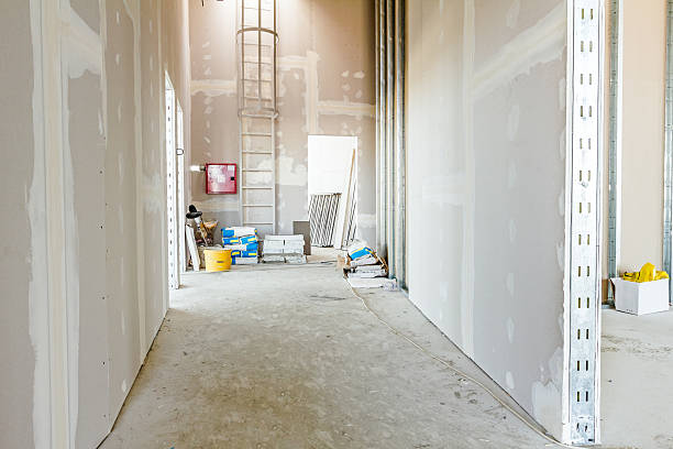 Trusted Carlstadt, NJ Mold Removal Experts